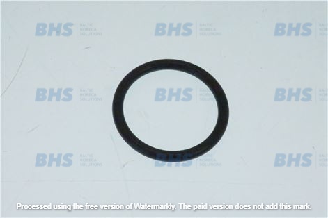 Or gasket delonghi 5313238581